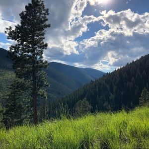 Meet your Posher, Shelbi